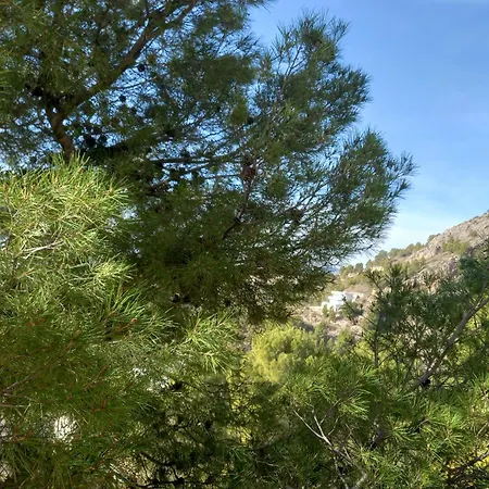 Townhouse Hills Αλτέα